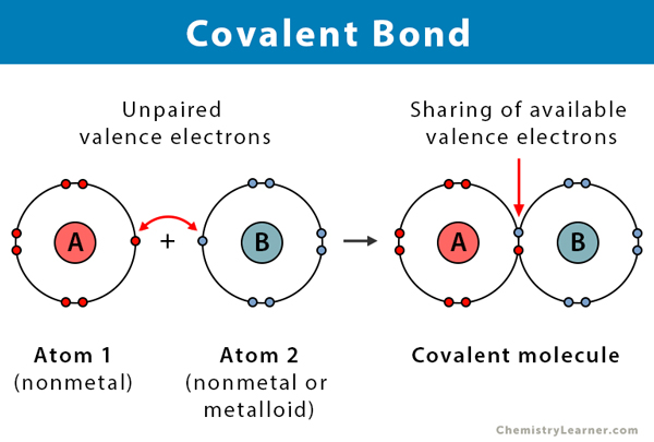 THSS Science